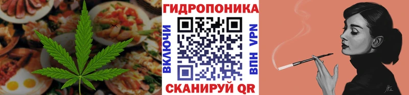 даркнет сайт  Судак  ОМГ ОМГ зеркало  Cannafood конопля 