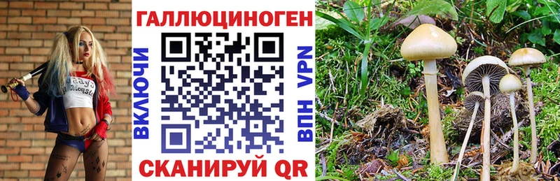 Галлюциногенные грибы MAGIC MUSHROOMS hydra ссылки Судак